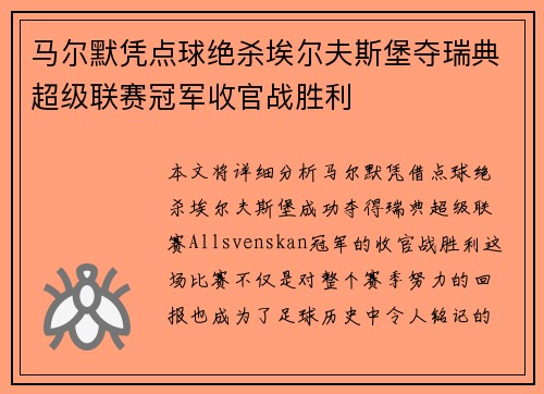 马尔默凭点球绝杀埃尔夫斯堡夺瑞典超级联赛冠军收官战胜利
