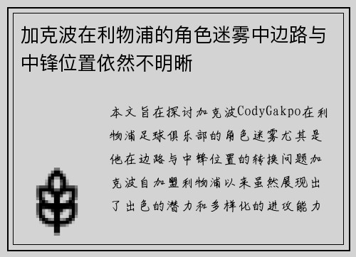 加克波在利物浦的角色迷雾中边路与中锋位置依然不明晰 加克波在利物浦的角色迷雾中边路与中锋位置依然不明晰
