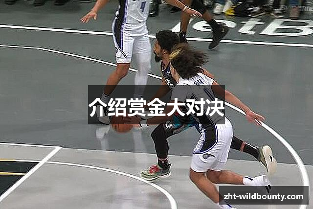 介绍赏金大对决